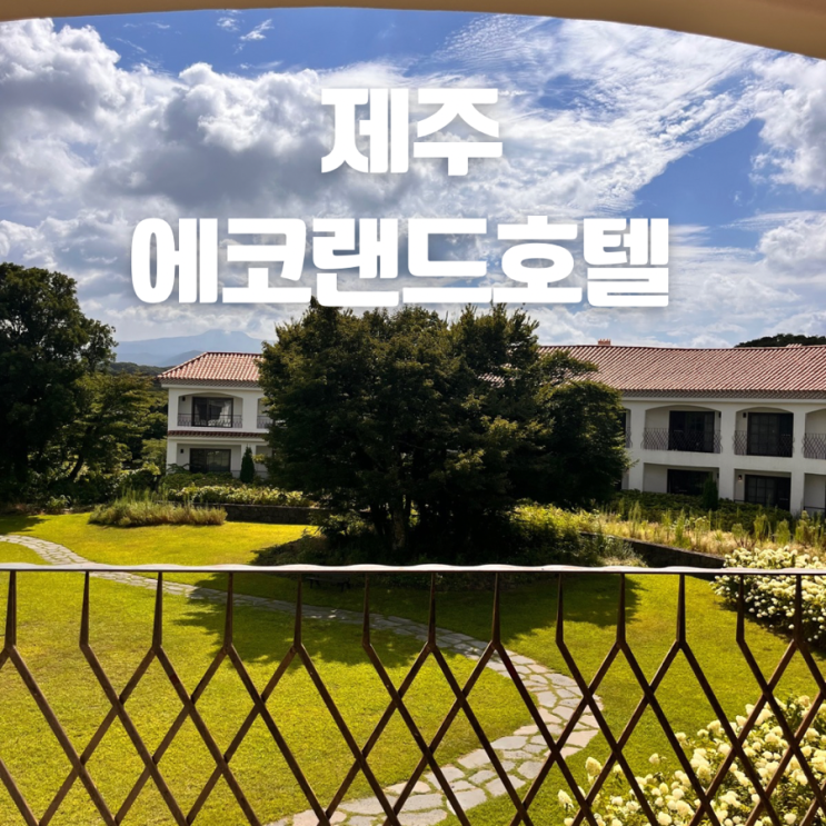  에코랜드 호텔 슈페리어 트윈 가든뷰 얼리체크인 룸 컨디션 후기