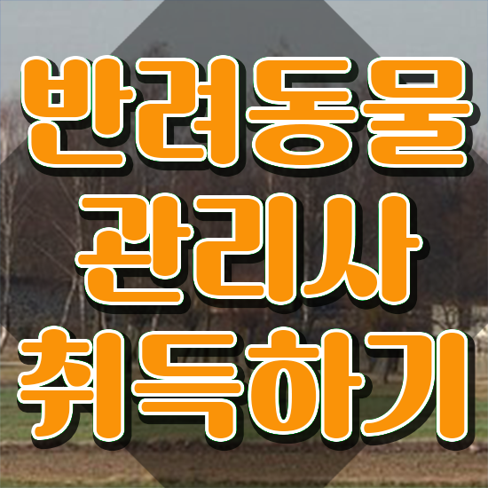  반려동물복지관리사 , 반려동물관리사 자격증 독학으로 취득한 정보 및 구직정보
