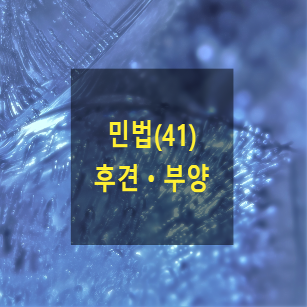  핵심만 알아보는 민법(41) - 후견ㆍ부양(후견인, 미성년자, 피한정후견인, 피성년후견인, 임의후견, 후견계약, 부양의무, 부양료)