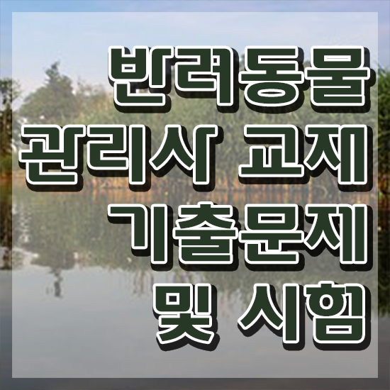  반려동물관리사 취업 , 반려동물관리사 자격증 취득한 과정 살펴보기