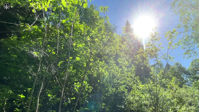  부동산자산관리전문가 강사 , 부동산자산관리사 자격증 응시자격 없이 합격한 전략 정보 퍼펙트 요약