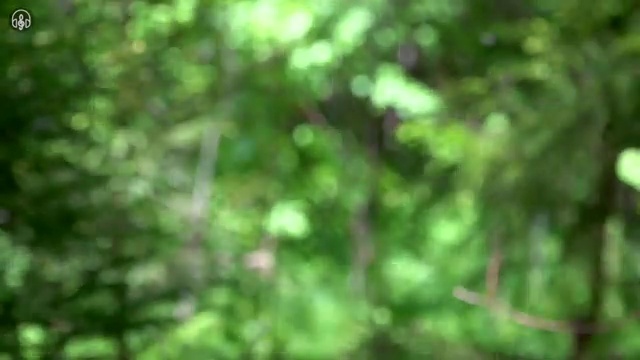  , mbti 학습진로상담지도사 준비한 방법 , 하는일