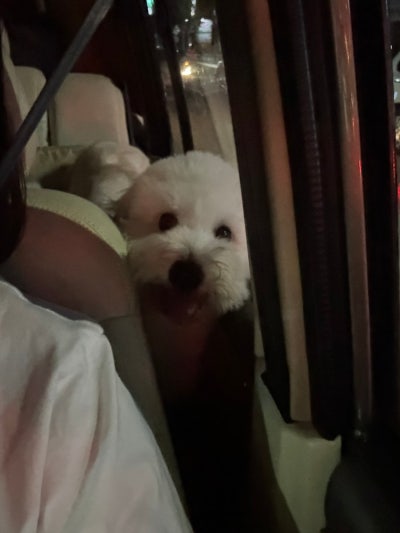 스타밸리캠핑장