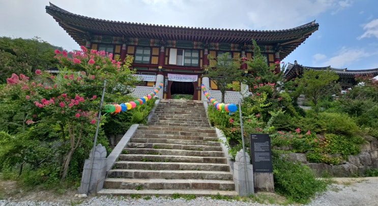  촌캉스