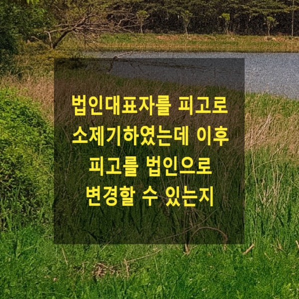  법인대표자를 피고로 소제기하였는데 이후 법인으로 변경할 수 있는지