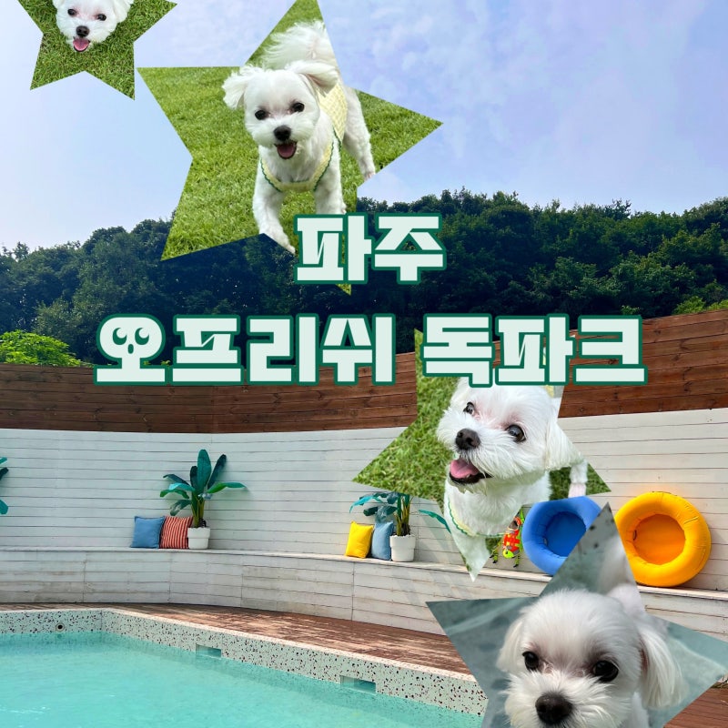 사진 3