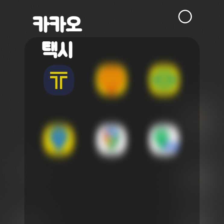  반려동물 택시 이용 카카오 펫택시 후기 ft. 노견 이동 수단