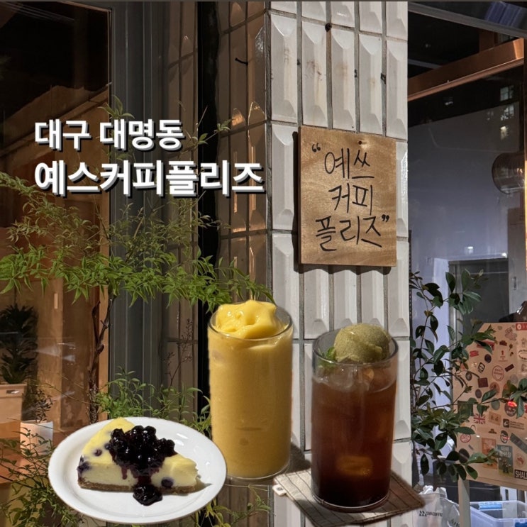  교대역 신상 카페 예스커피플리즈 블루베리치즈케이크 맛집