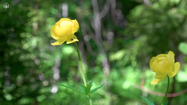  40대남성자격증 , 부동산권리분석사 관련학위 없어도 단기간에 준비한 후기