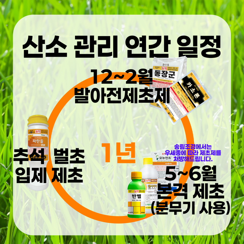 산소관리 연간 일정 안내 | 추석 성묘 산소 잔디 관리