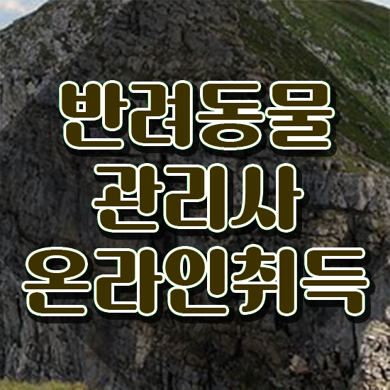  반려동물관리사 학원 , 반려동물관리사 자격증 2주 만에 취득한 과정 전격분석