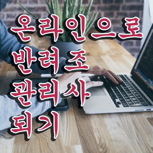  왕관앵무새분양 , 반려조관리사 자격증 학습한 후기 요점정리