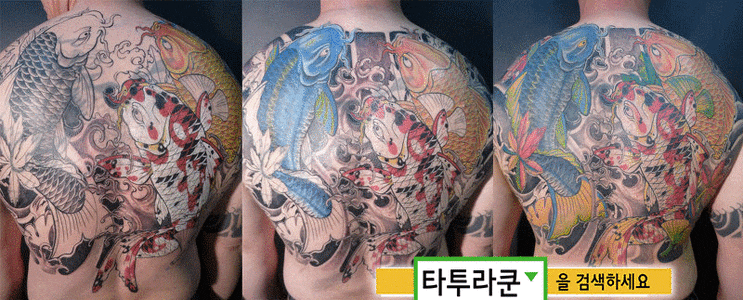  등 한판 전체 커버업타투 진행중/이레즈미 잉어타투/물고기문신/ 아주 옛날 타투작업입니다- 2013. 3. 26. 17:50