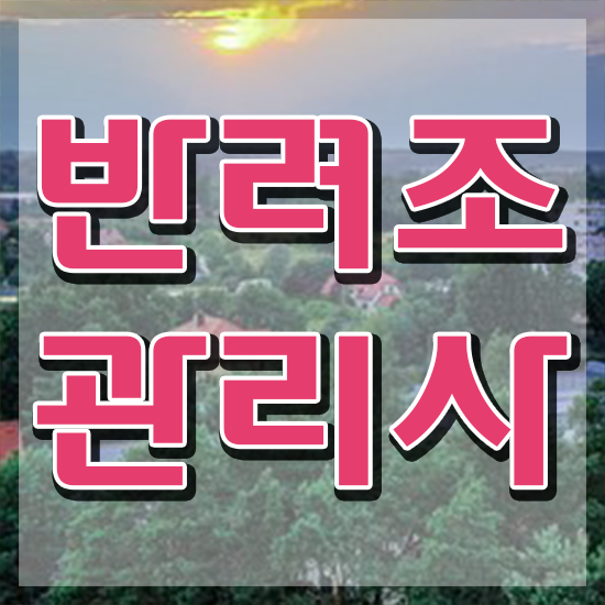  대구 앵무새 분양 , 반려조관리사 자격증 취득한 노하우 콕콕 짚어드립니다