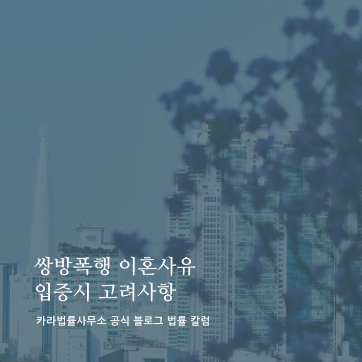  쌍방폭행 이혼사유 입증시 고려사항