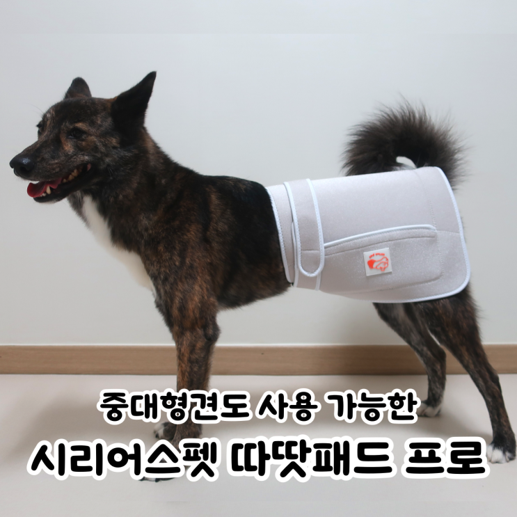  시리어스펫 따땃패드 프로 사용 후기  / 강아지 고관절 건강 관리를 위한 적외선 조사기 추천️