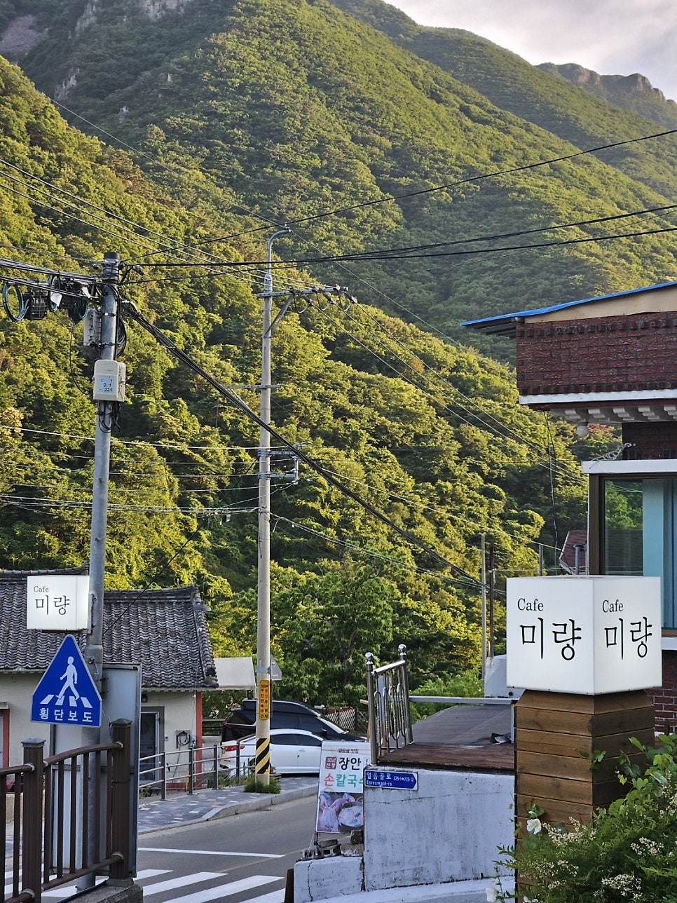 카페미량 사진 3