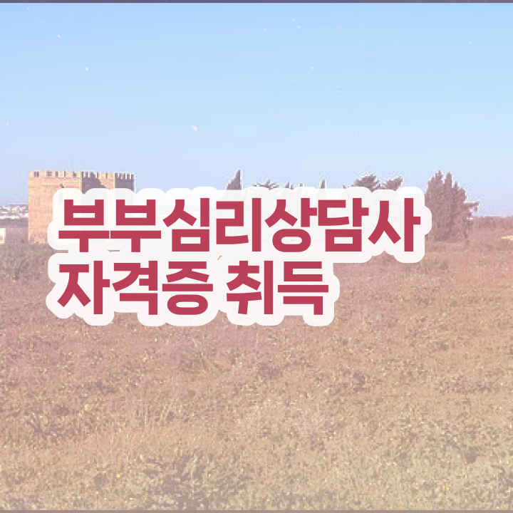  1급부부심리상담사자격증준비 , 부부심리상담사 자격증 15일 만에 준비한 방법 및 전망