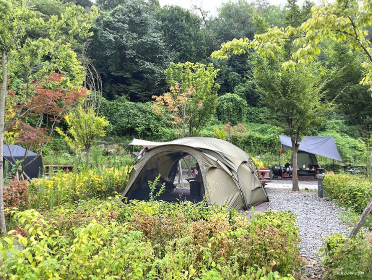 천왕산 가족 캠핑장 예약 명당, 북카페, 천왕산 등산 - 서울에서 캠핑하기 천왕산 가족 캠핑장 예약 명당, 북카페, 천왕산 등산 - 서울에서 캠핑하기