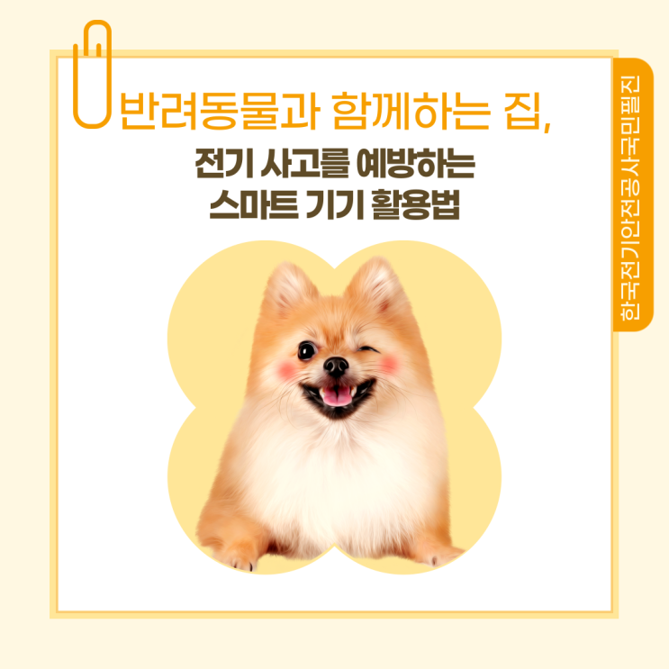  [한국전기안전공사 국민필진] 반려동물과 함께하는 집, 전기 사고를 예방하는 스마트 기기 활용법