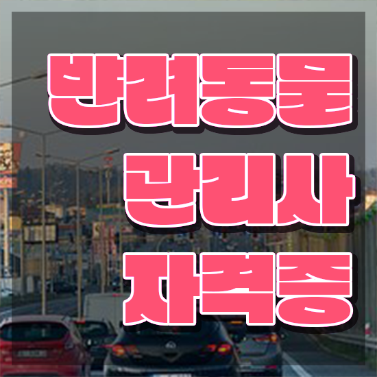  반려동물복지관리사 , 반려동물관리사 자격증 간단하게 취득했던 후기 및 구직정보