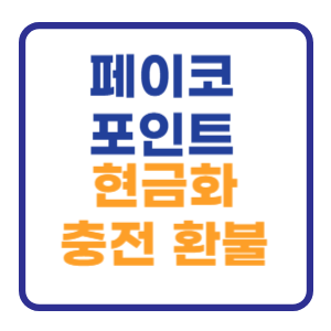 페이코 포인트 현금화 및 충전 환불방법 사용처 정리 페이코 포인트 현금화 및 충전 환불방법 사용처 정리