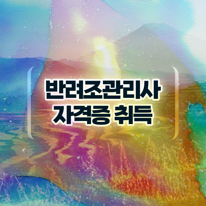  뉴기니아 앵무새 , 반려조관리사 자격증 쉽고 빠르게 취득했던 후기 및 취업정보