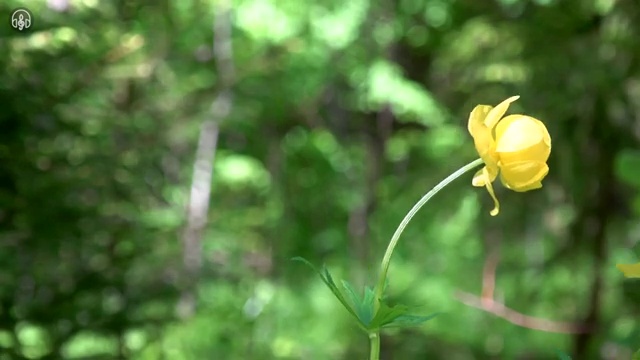  집합 건물관리사 , 집합건물관리사 합격 비법 및 채용현황