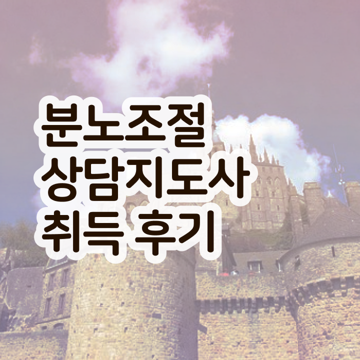  어린이 분노조절장애 분노조절상담지도사 한달 만에 취득한 노하우