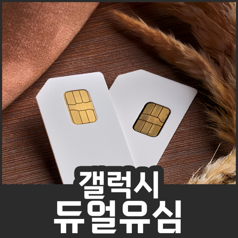 갤럭시S24 듀얼유심 가능한지 궁금해요?