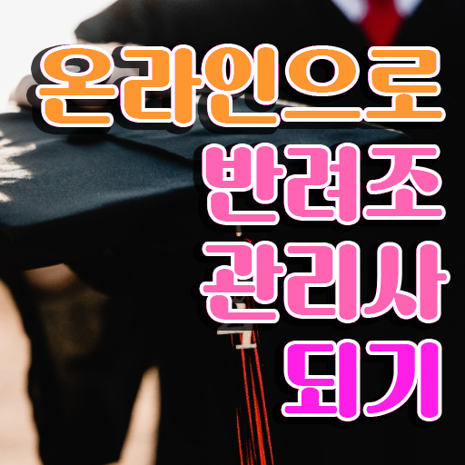  부산 앵무새 분양 , 반려조관리사 자격증 15일 만에 취득한 방법 및 취업정보