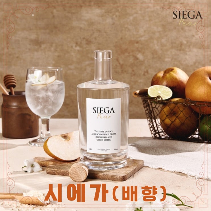  [정보] 시에가 SIEGA 출시