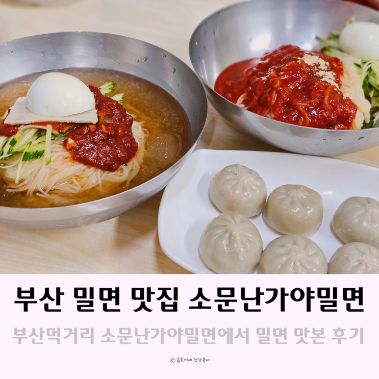 부산먹거리 소문난가야밀면에서 부산밀면 맛본 후기 부산먹거리 소문난가야밀면에서 부산밀면 맛본 후기