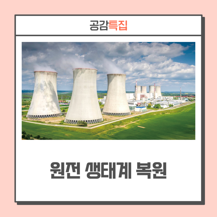 체코 원전으로 돌아와 ··· '2050 <b>중장기</b> 원전산업 로드맵' <b>추진</b>