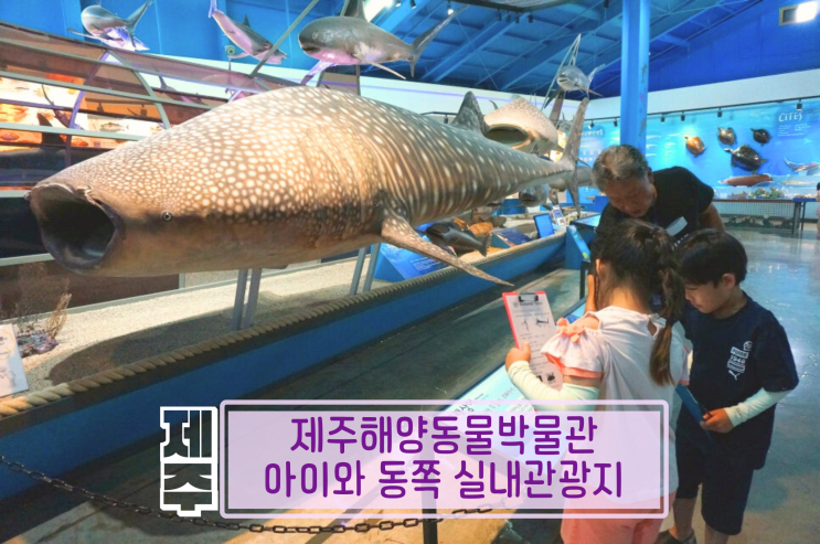  제주해양동물박물관 아이와 실내관광지 성산일출봉
