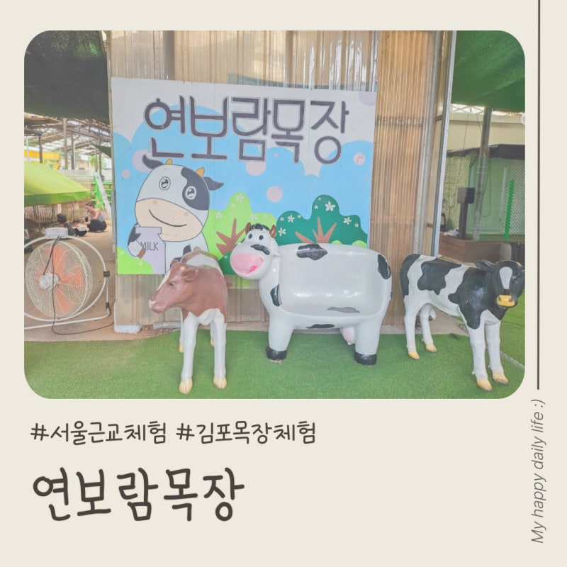 김포 연보람목장 | 서울근교 가볼만한 곳 :: 여름 물놀이 체험 솔직후기