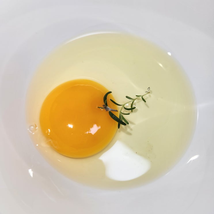  성경축산: 신선한 계란과 식자재로 건강한 식탁을 만들어드려요!