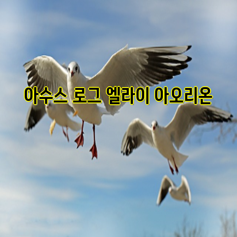 아수스 ROG 제품군 구매 가이드| 엘라이 아오리온 파우치, ROG 앨리 필름, G18 & Z13 노트북 정보 |....