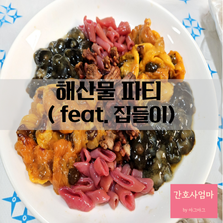  해삼효능 멍게효능 개불효능(feat.집들이파티)