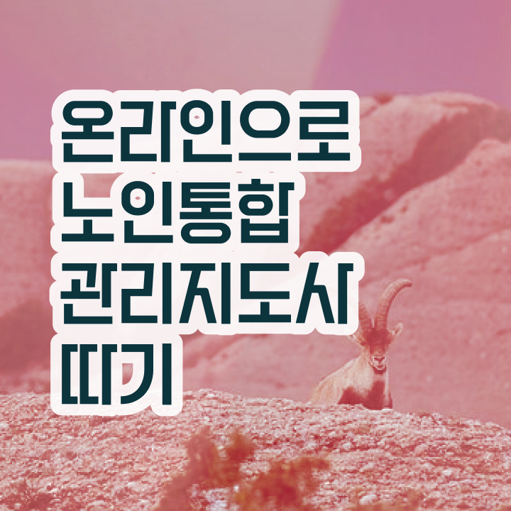  국비지원 자격증 추천 , 노인통합관리지도사 고졸도 온라인 수업만으로 쉽게 완료한 비법