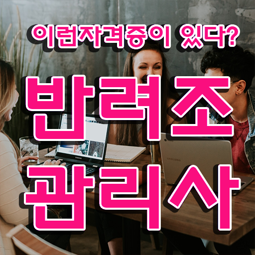  회색앵무새 분양 , 반려조관리사 자격증 2주 만에 합격정보 및 채용 정보