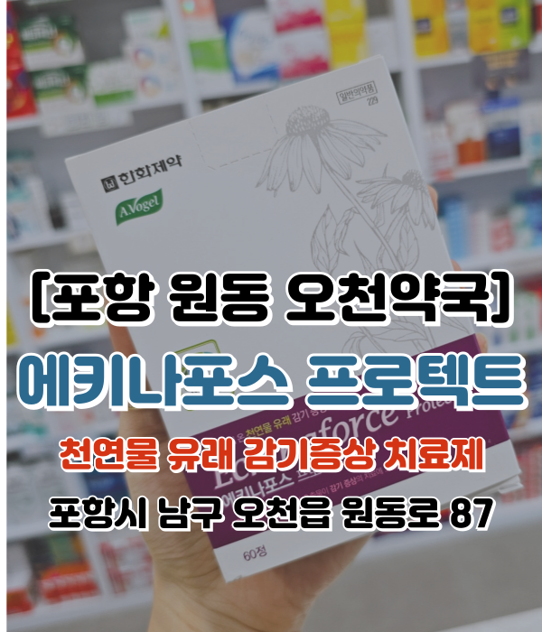  [포항 원동 오천약국] 에키나포스 프로텍트정 감기증상 치료제 코로나 감기치료보조제 코로나19키트 복용법 효과 성분