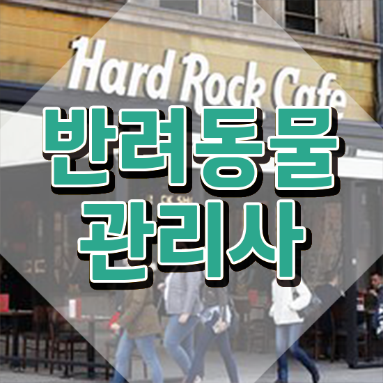  반려동물관리사교육원 , 반려동물관리사 자격증 응시자격 없이 취득한 노하우 및 취업