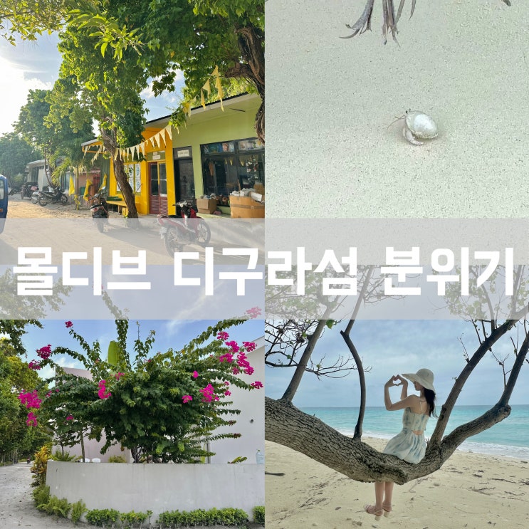  몰디브 자유여행 로컬 디구라 섬 - 물가 치안 현지 분위기 포토존 가는 방법
