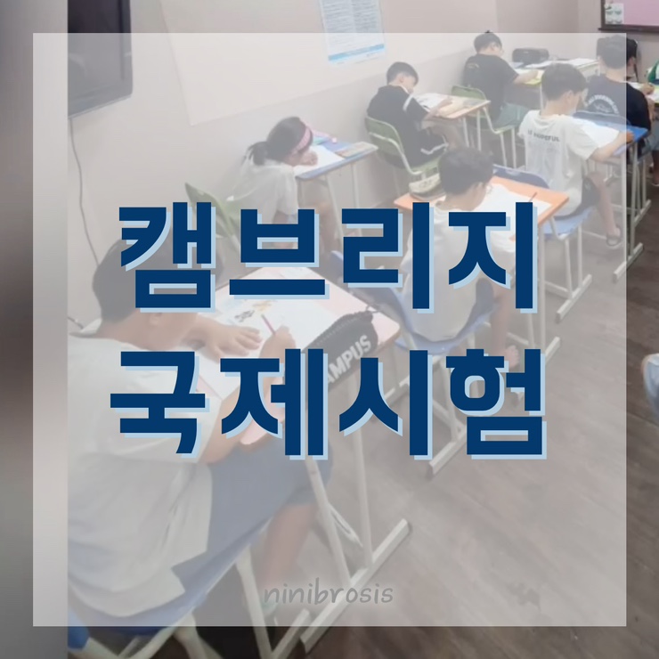  차니의 캠브리지 국제영어시험  YEL Movers 도전