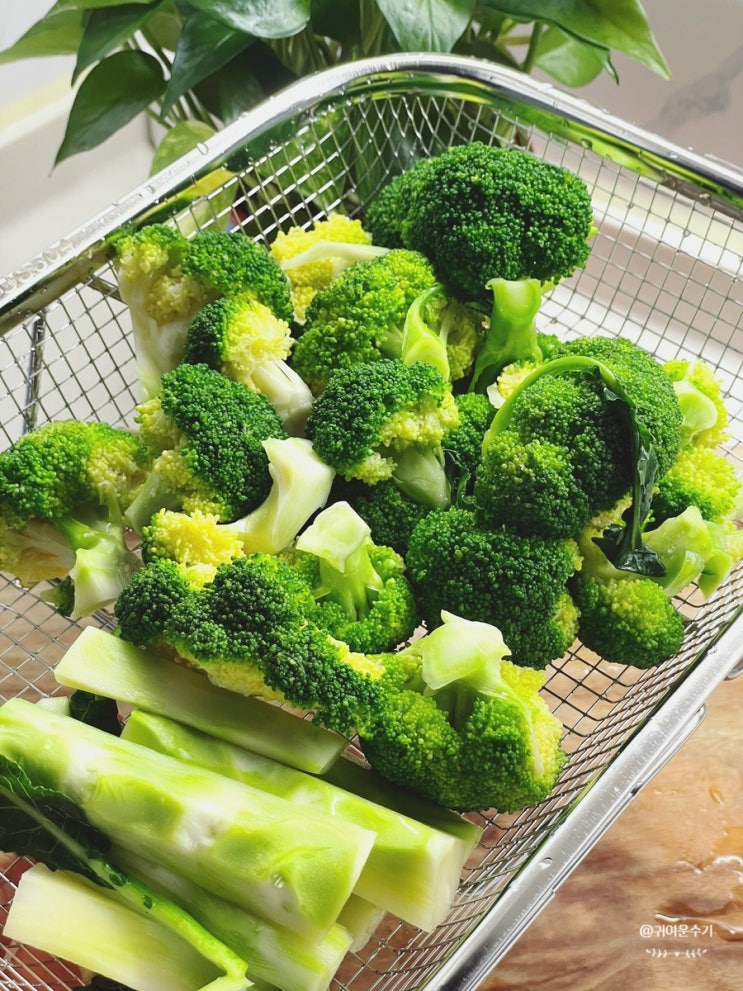  브로콜리삶기 아삭하게 브로콜리데치기 시간 세척 브로콜리숙회 보관법