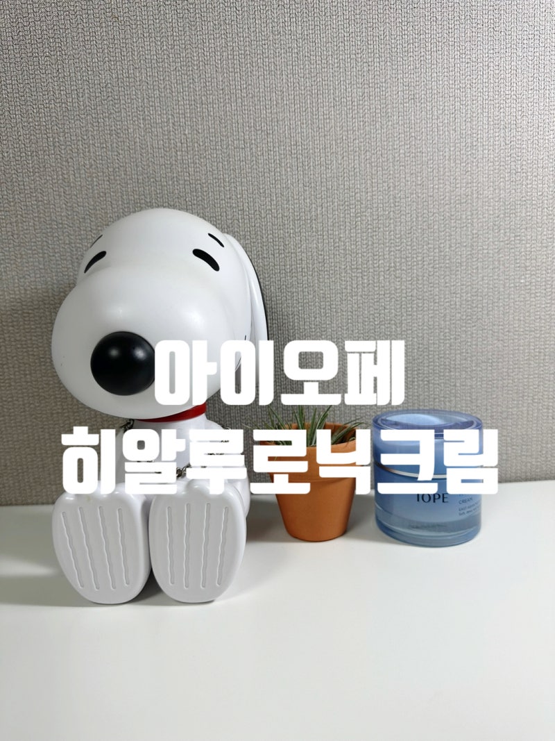 피엑스 화장품 수분크림 아이오페 히아루로닉 크림 사용후기
