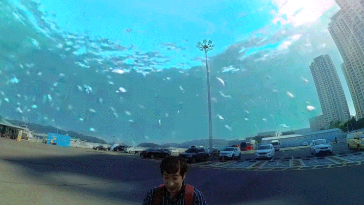  아이와 마산 돝섬 산책