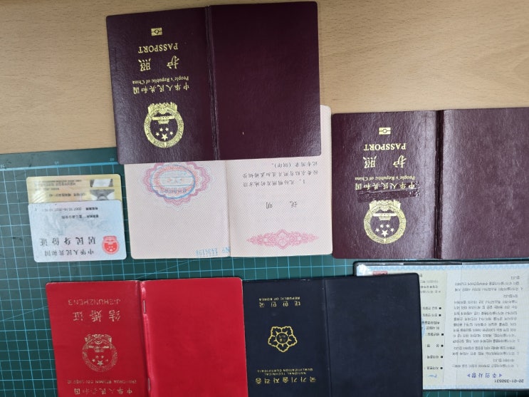  기업투자(D-8)비자로 체류중인 외국인자녀가 한국에서 태어나 성년이 되었을때 이자녀가 한국에 체류할 수 있는 비자는 무엇이 있을까?
