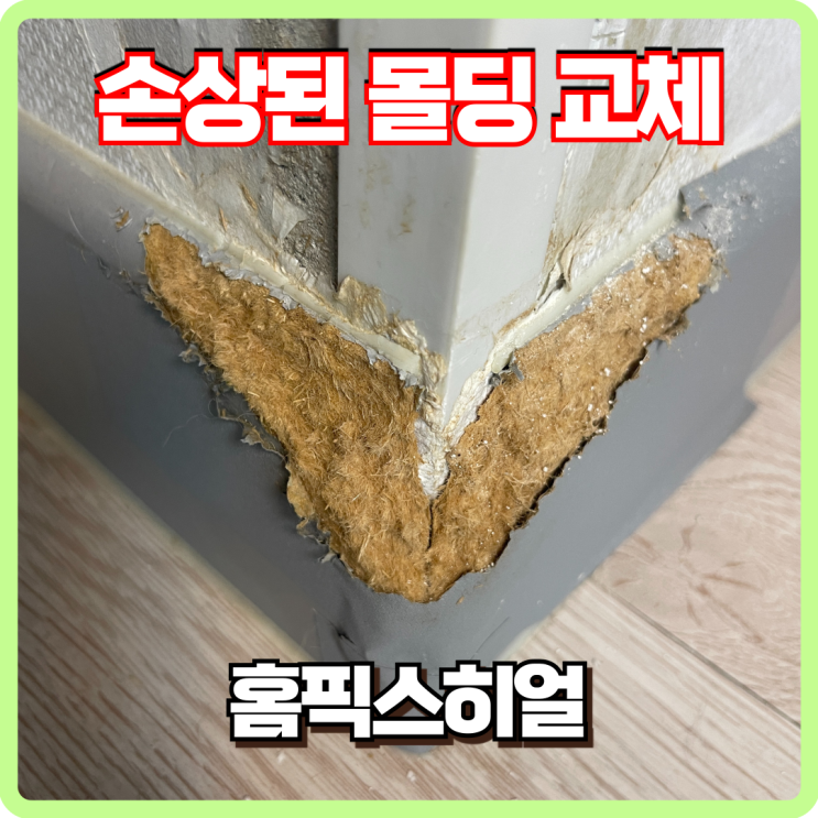  강아지가 물어 뜯은 몰딩 교